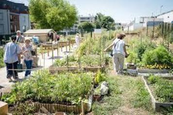 Le jardin participatif du quartier Andrillons/Ormes du Mail
